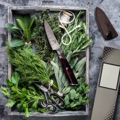 Infinity Wave 4" Schälmesser 61 HRC Damaszenerstahl -Klarstein 10039038 yy 0003 logo